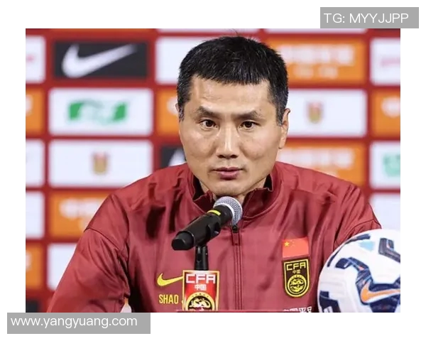 中国主帅谈“归化球员计划”：暂不扩展